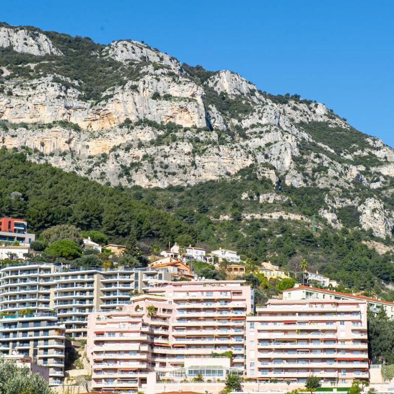 VILLA FLORENTINE II - Somptueux deux pièces MONACO - Vue mer - Parking - Appartement 1 Chambre - 36