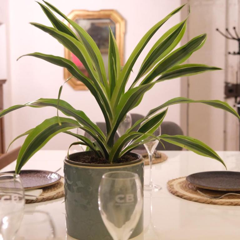 Grandma's Home - Three-Bedroom Apartment - 57