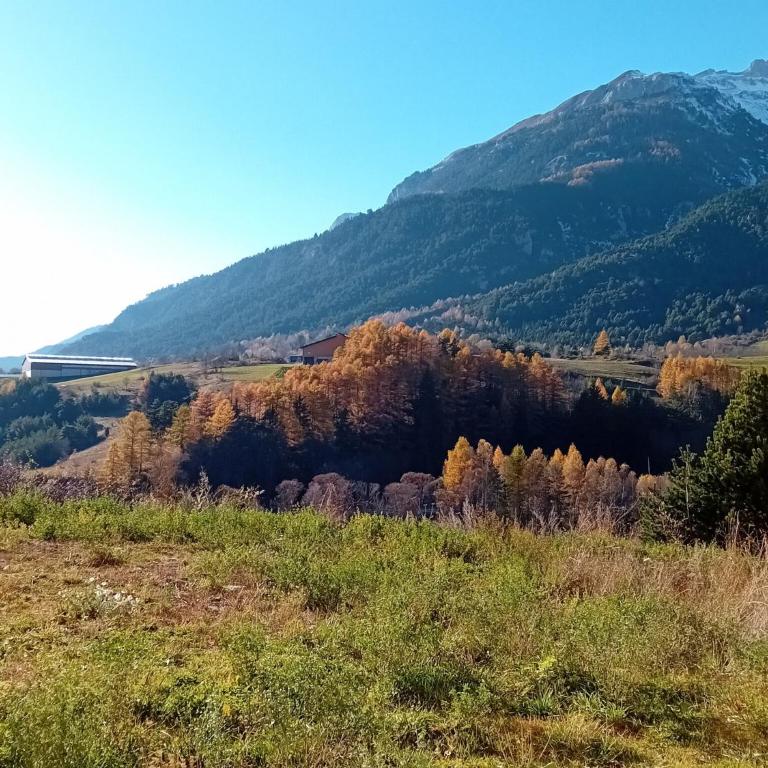 Central apartment with mountain view - Appartamento con 1 Camera da Letto - 14