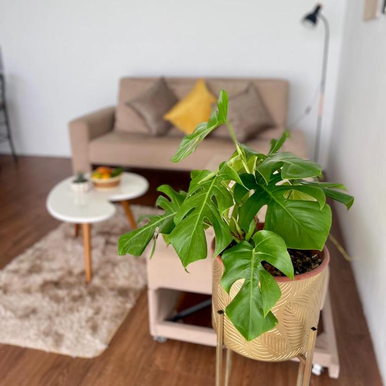 Modern Apartment close to the airport - Apartamento de 1 dormitorio - 4