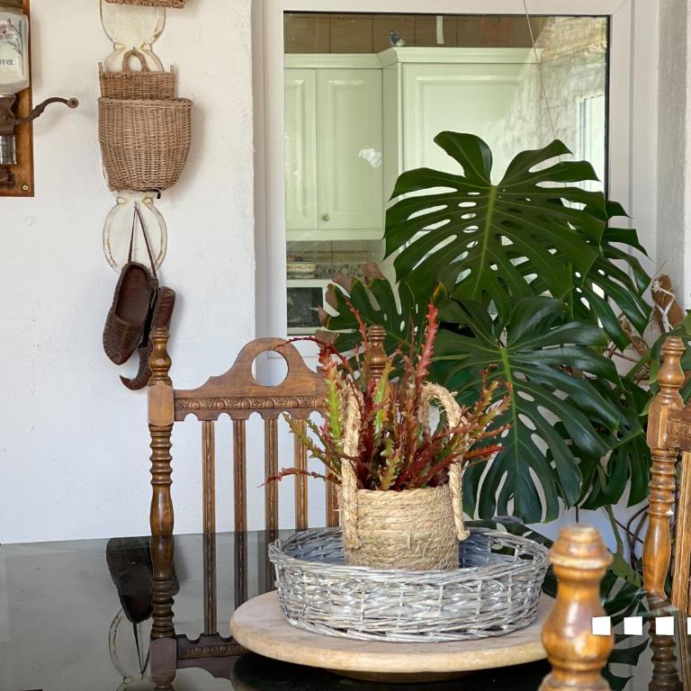 VH CostaBlanca - GRANADELLA - Villa - 18