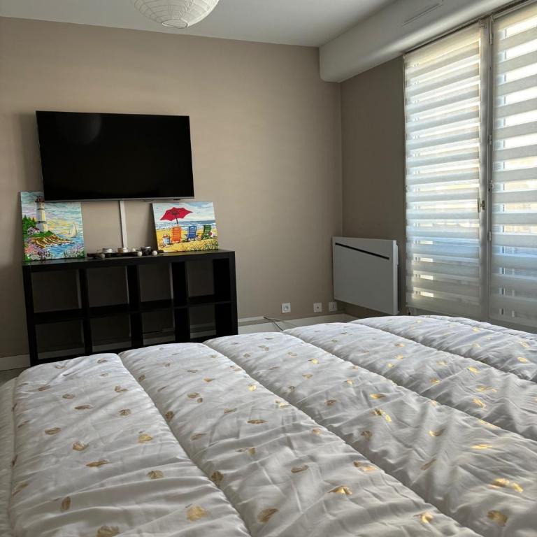 les pieds dans l'eau - Appartement 2 Chambres - 8