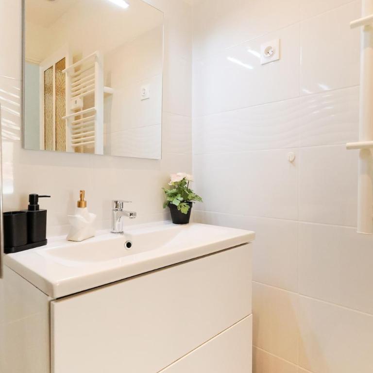 Appartement 2 pieces - Appartement 1 Chambre - 5