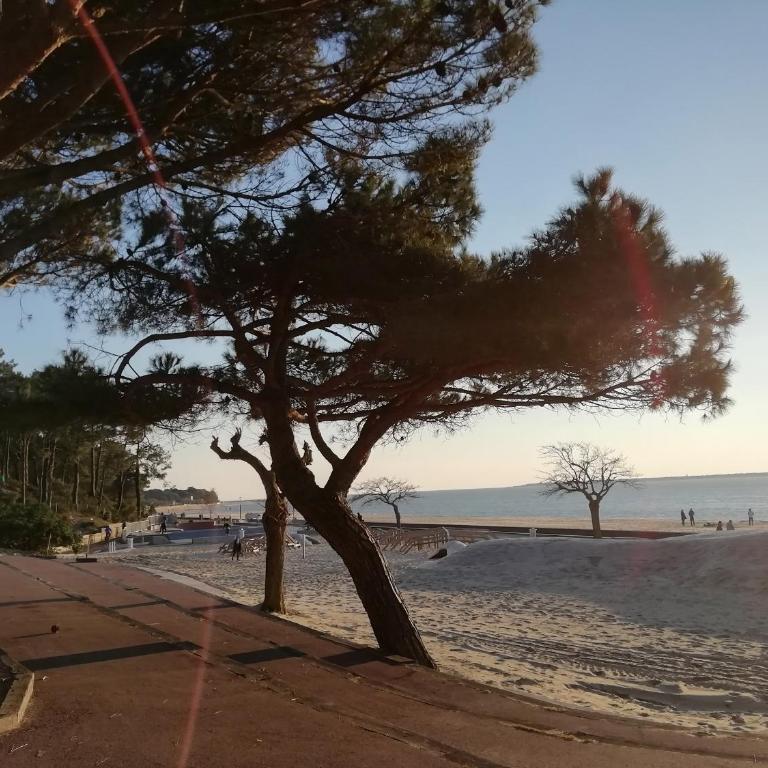 Superbe appartement 4 personnes Arcachon Abatilles avec parking 500m plage Péreire - One-Bedroom Apartment - 22