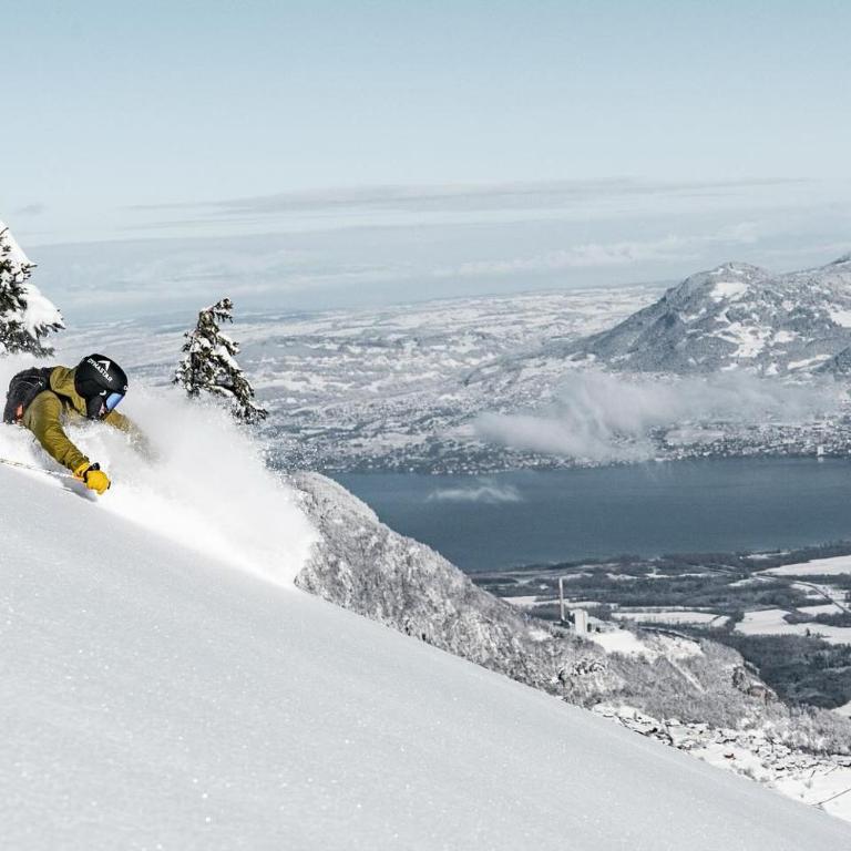L'écrin de Torgon aux Portes du Soleil - Apartment mit 1 Schlafzimmer - 28