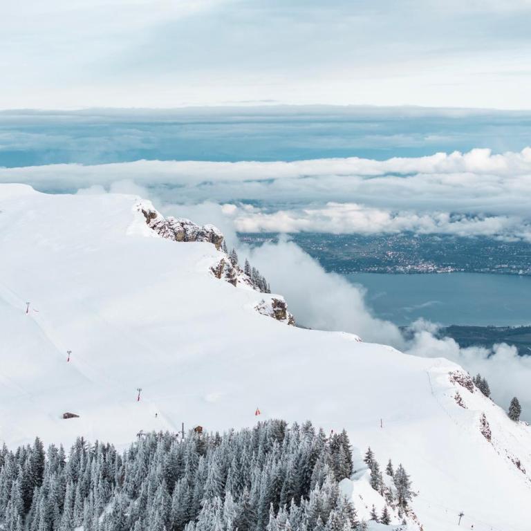 L'écrin de Torgon aux Portes du Soleil - Apartment mit 1 Schlafzimmer - 30