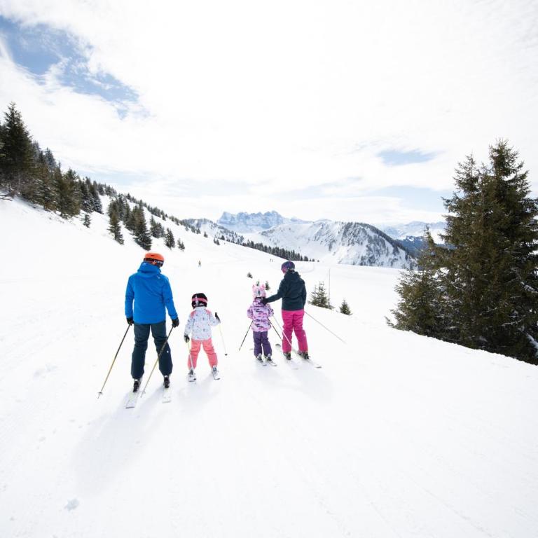 L'écrin de Torgon aux Portes du Soleil - Apartment mit 1 Schlafzimmer - 29