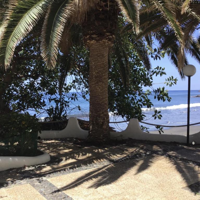 Ocean Front Playa Chica - Apartamento 1 dormitorio con vistas al mar y terraza - 43