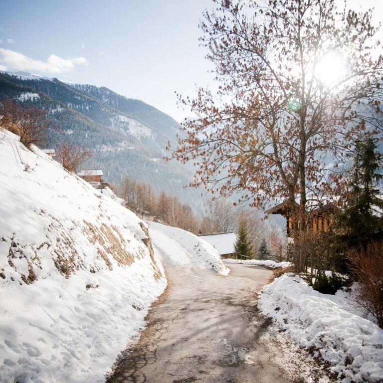 Fontannets 009 MOUNTAIN & QUIET chalet 8 pers - Superior Chalet - 14