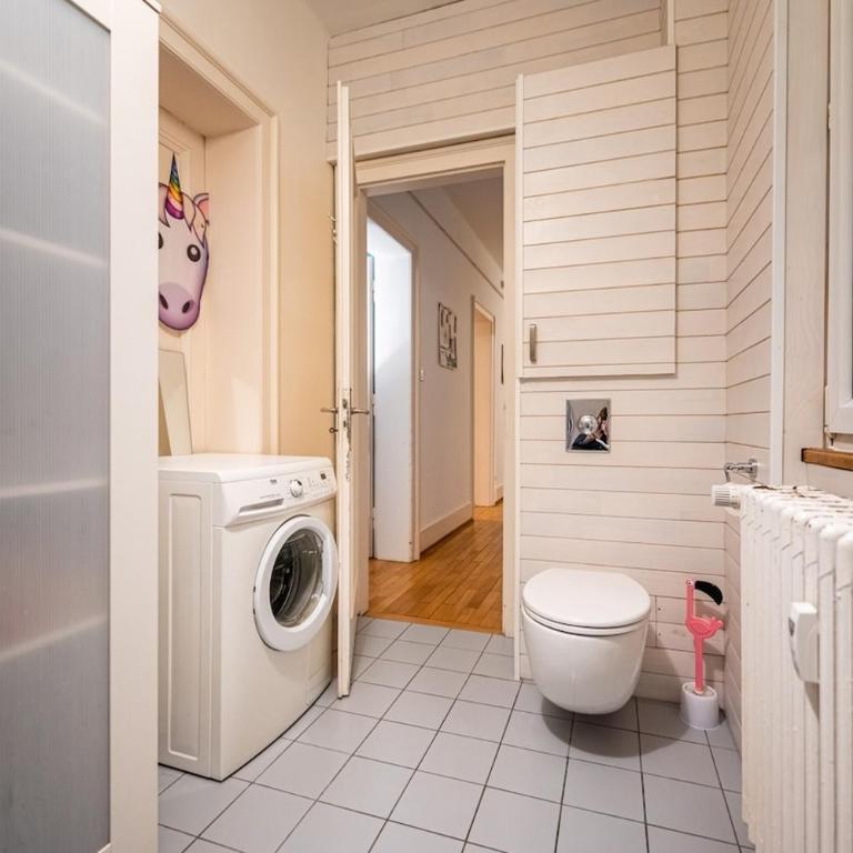 Large apartment in Strasbourg - Two-Bedroom Apartment - 2
