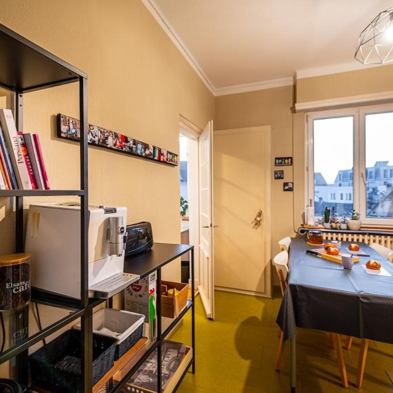 Large apartment in Strasbourg - Two-Bedroom Apartment - 9