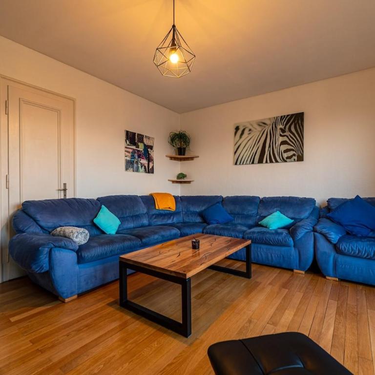 Large apartment in Strasbourg - Two-Bedroom Apartment - 11