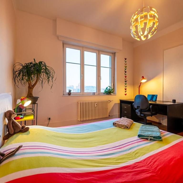 Large apartment in Strasbourg - Two-Bedroom Apartment - 21
