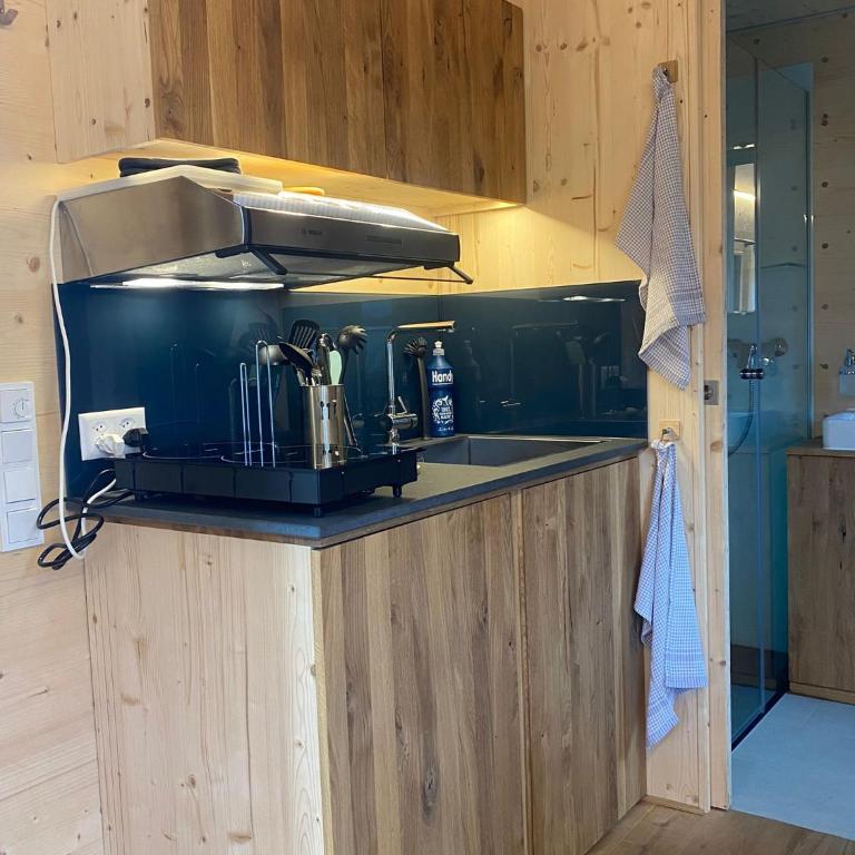 Unique Tiny Eco Lodges with gorgeous views to Jungfrau Massiv - One-Bedroom House - 6