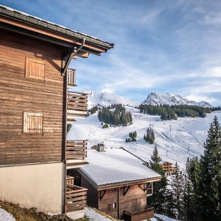Slow Chalet Maison des Bois à 7min des pistes à pied - ski nordique alpin - Appartement - 19