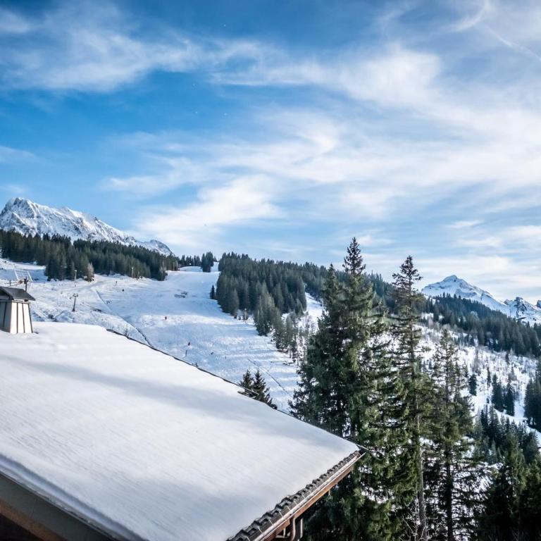 Slow Chalet Maison des Bois à 7min des pistes à pied - ski nordique alpin - Appartement - 20