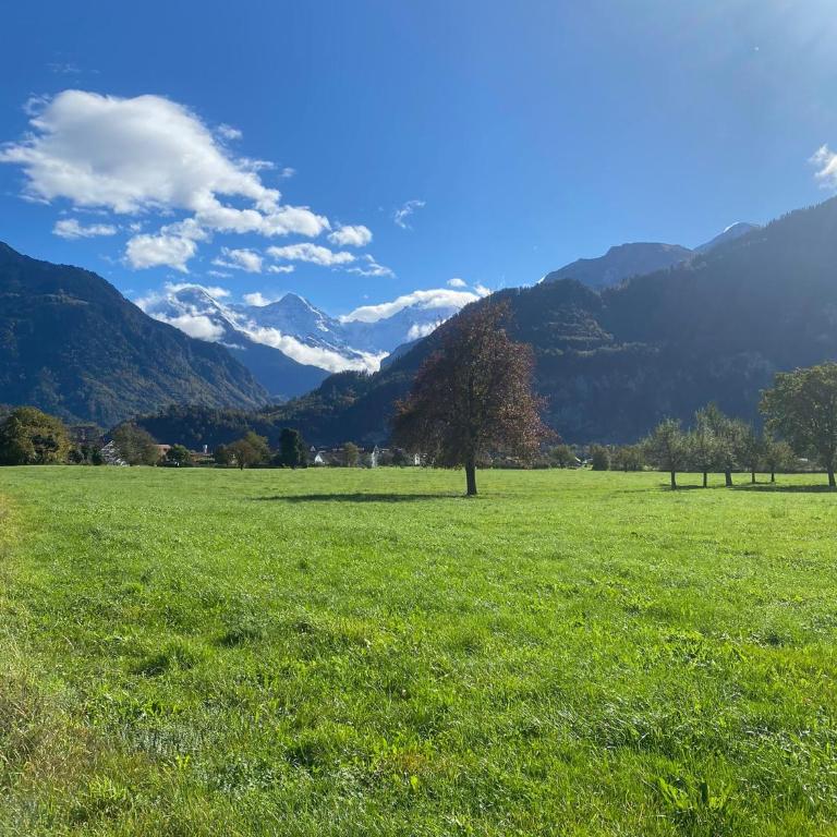 Unique Tiny Eco Lodges with gorgeous views to Jungfrau Massiv - Vacation Home - 24