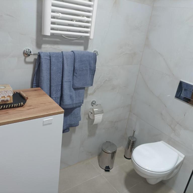 Apartman Bianca Divcibare Kota 992 - Apartman sa 1 Spavaćom Sobom - 9