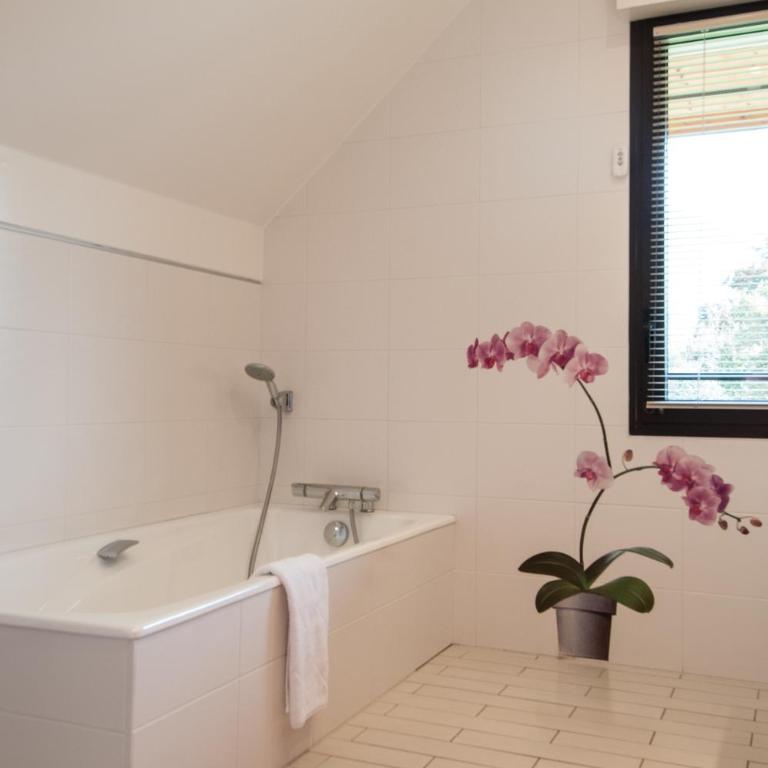 Le Comptoir de Sebastien - La Plage et Le Port - 2 duplex - 100m de la plage de Talloires - Appartement 2 Chambres - 14