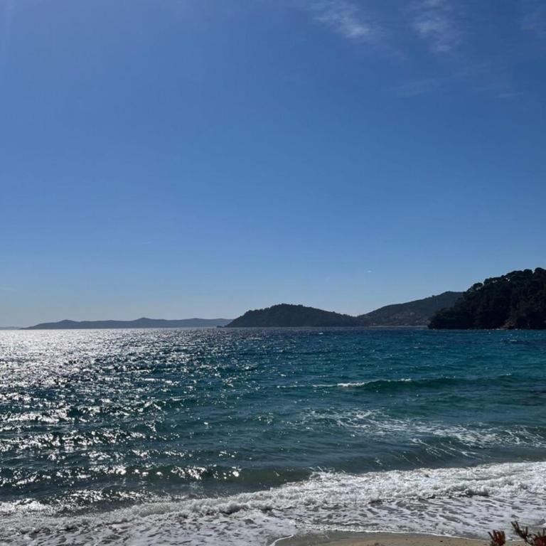 T2 sea view in Saint-Clair - Rated 3 - Appartement 1 Chambre - 10