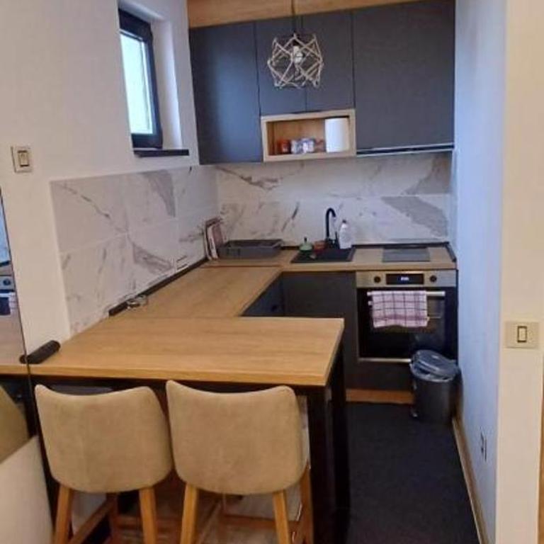 M&S Zlatibor - Apartman sa 2 Spavaće Sobe - 12