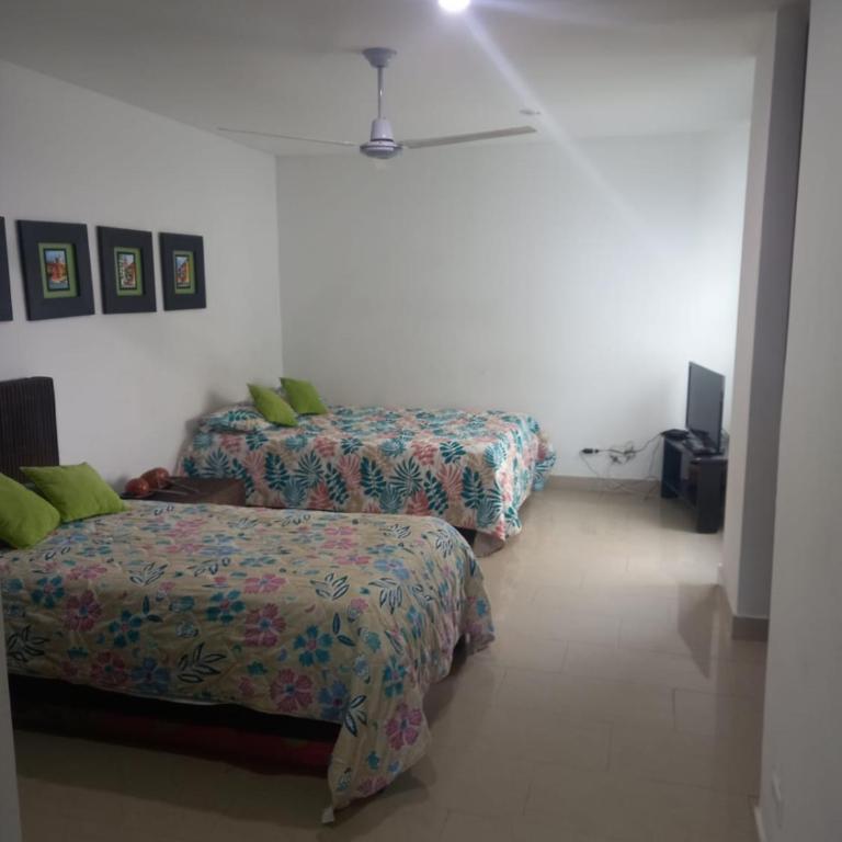 Terraza Morros - Apartment - 6