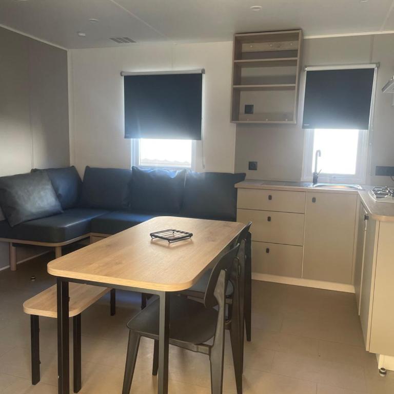 Mobil-home neuf 6 à 8 pers au Camping Les Palmiers, Hyères - Mobilheim - 9