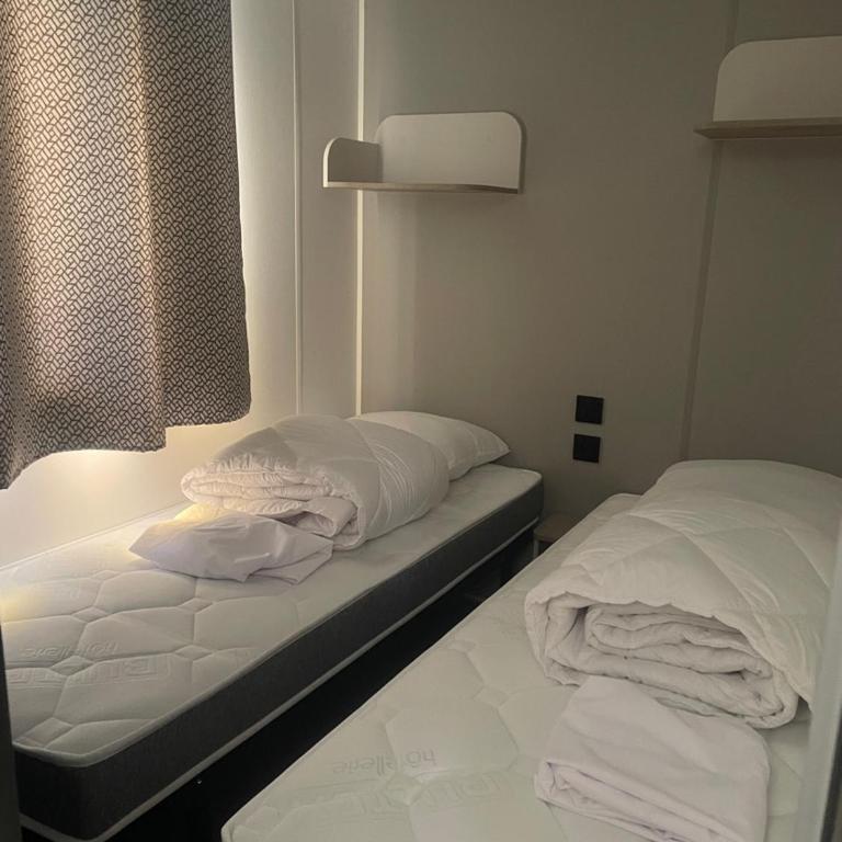 Mobil-home neuf 6 à 8 pers au Camping Les Palmiers, Hyères - Mobilheim - 10