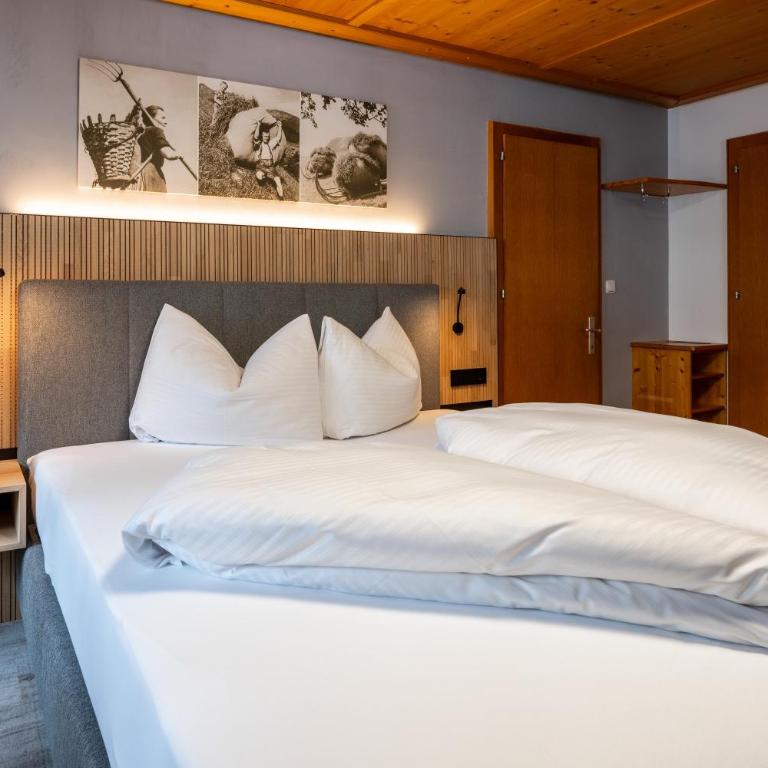 Hotel Garni Madrisa - Chambre Double - 6