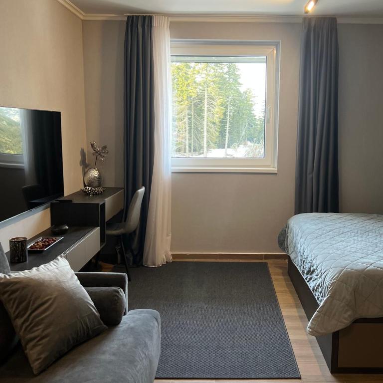 Mountain stars Kopaonik - One-Bedroom Apartment - 18
