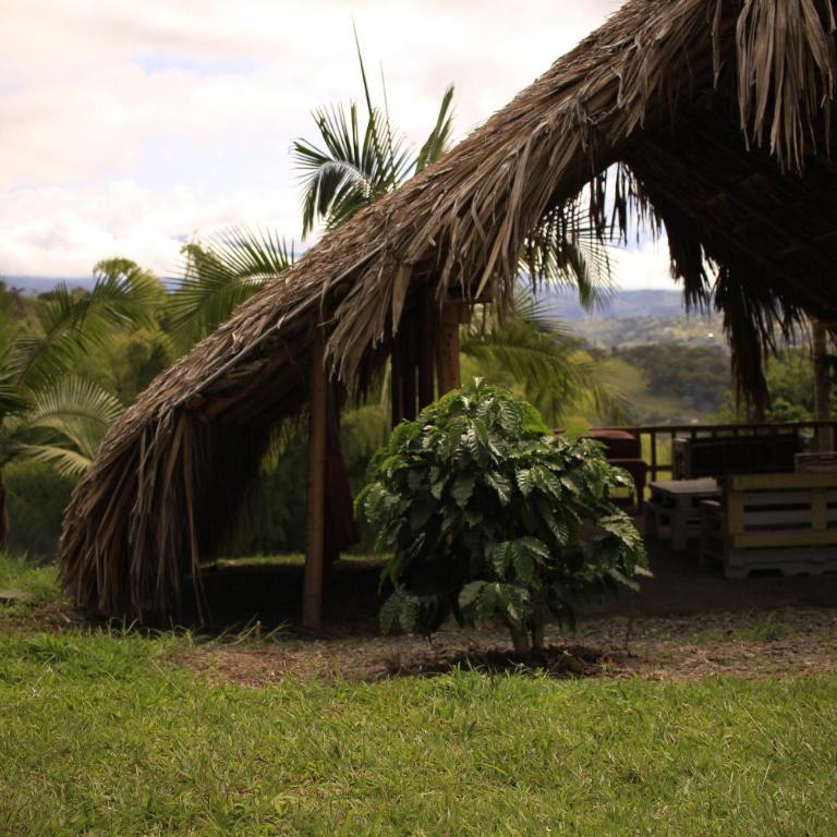 San Julio Campestre - Bungalow - 14