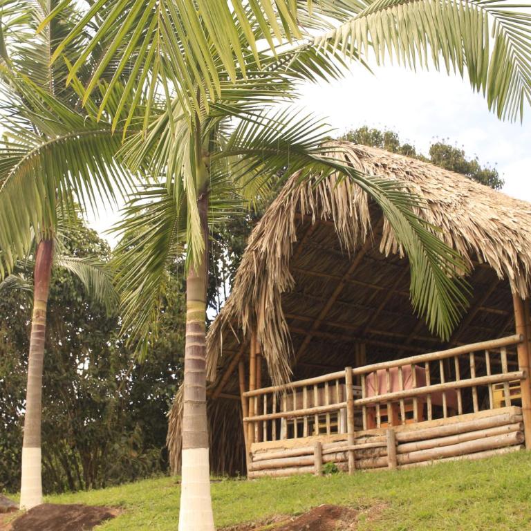 San Julio Campestre - Bungalow - 23