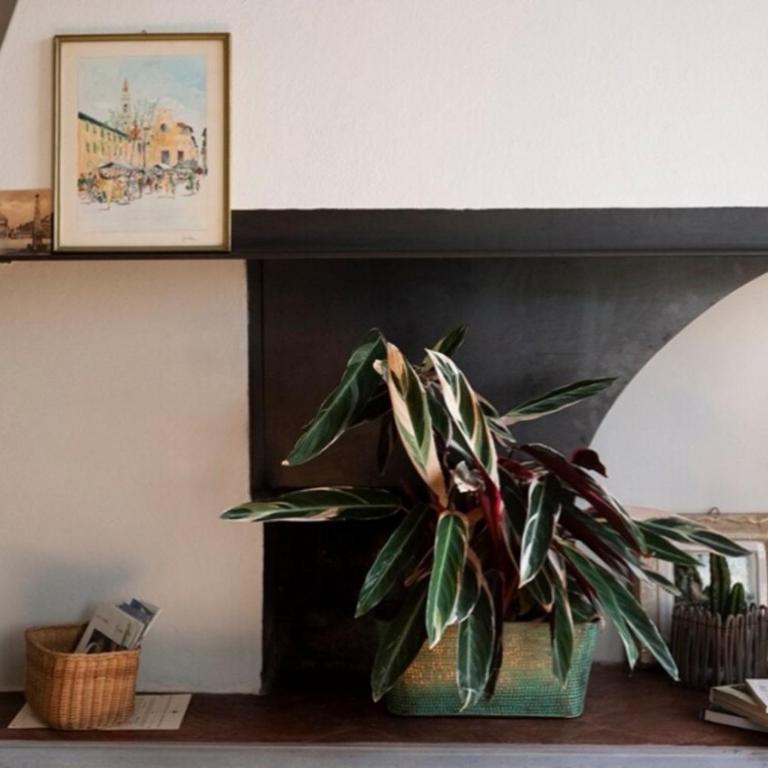 Living Santa Maria Novella - In the heart of Florence - Appartamento con 1 Camera da Letto - 3