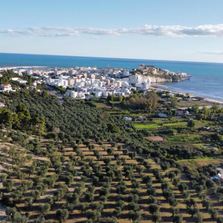 Dreaming Penthause - Appartamento con 2 Camere da Letto e Vista Mare - 74
