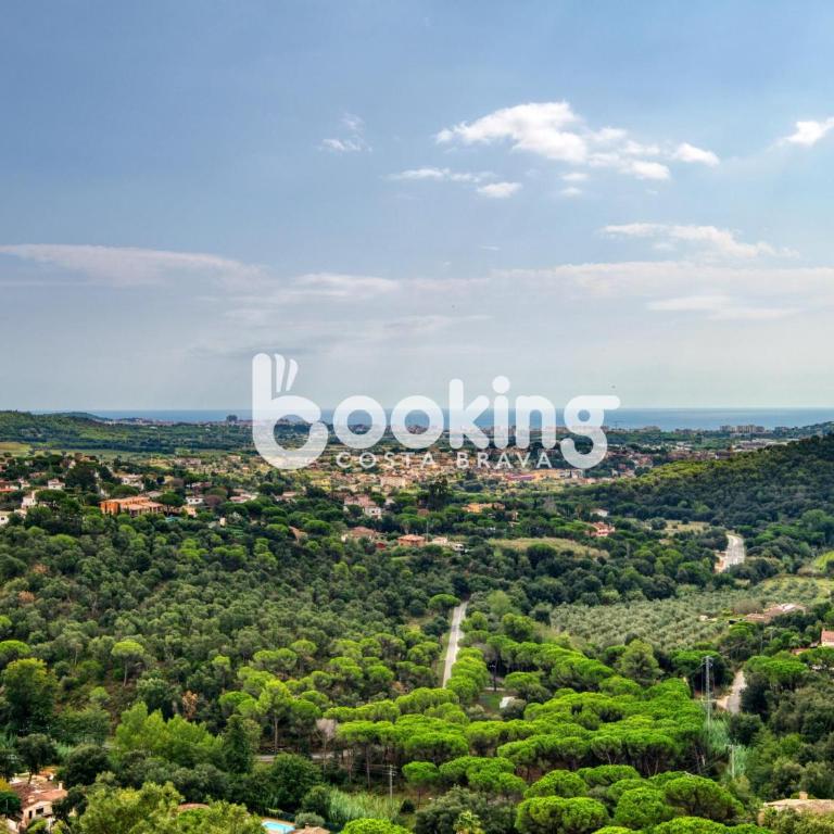Villa Bellevue - Casa - 39