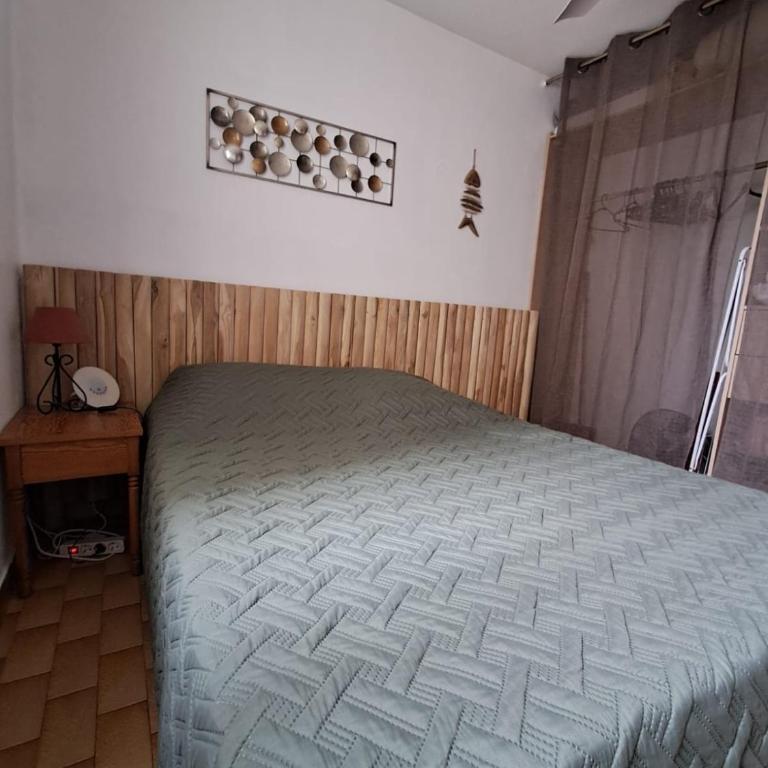 Magnifique T2 Port de Carnon avec Wifi - Mer à 400m - Appartement 1 Chambre - 21