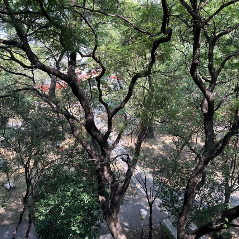 apartment in dowtown - Apartment with Garden View - 1