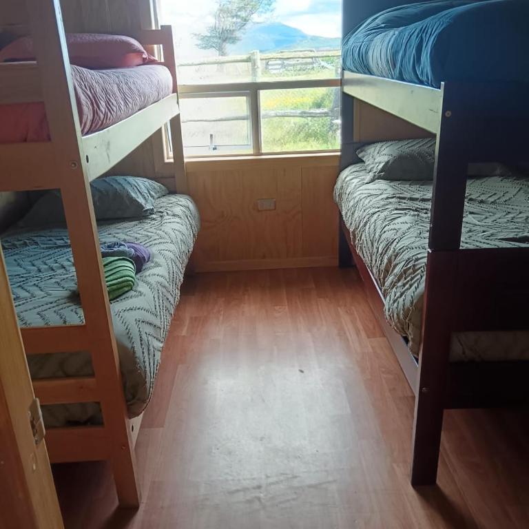 Cabañas Vista al Paine - Bed in 4-Bed Mixed Dormitory Room - 3