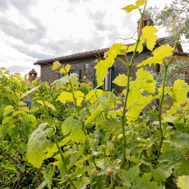 Casetta del Glicine - Villa con 3 Camere da Letto - 56