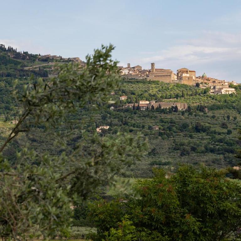 Casetta del Glicine - Villa con 3 Camere da Letto - 57
