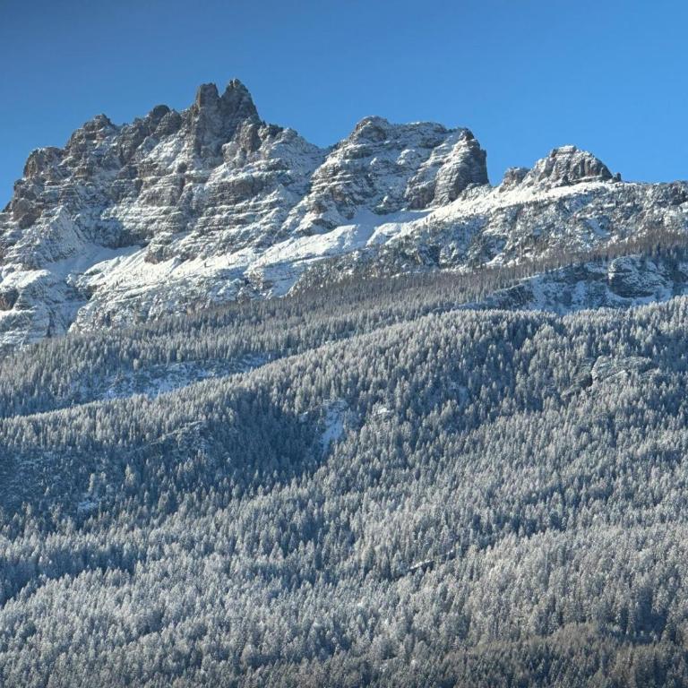 Hotel Serena Cortina - Camera Singola con Balcone - Dependance - 6