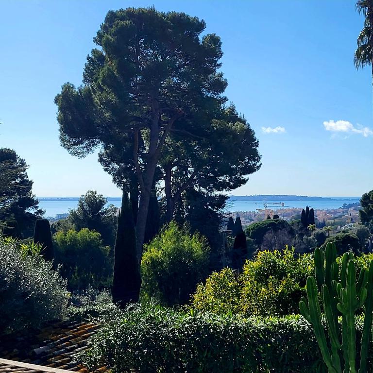 Villa vue mer à Antibes classée 4 étoiles-Piscine chauffée - Villa with Private Pool - 52