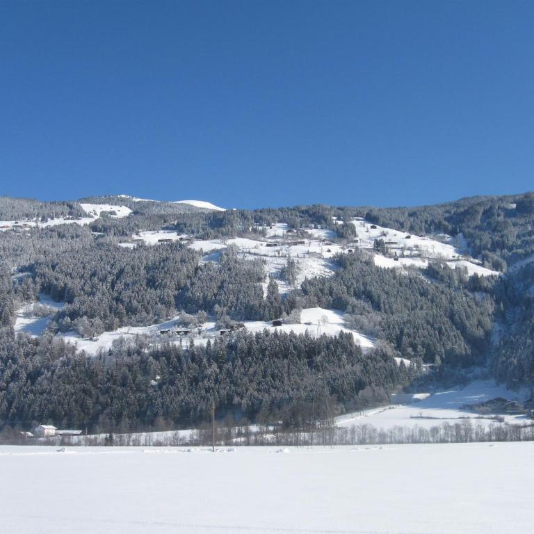 Ferienwohnungen Hauser Reinhilde - Apartment mit Blick auf die Berge - 61