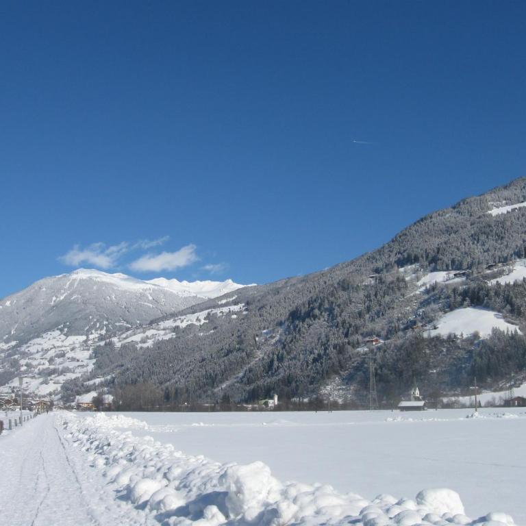 Ferienwohnungen Hauser Reinhilde - Apartment mit Blick auf die Berge - 60