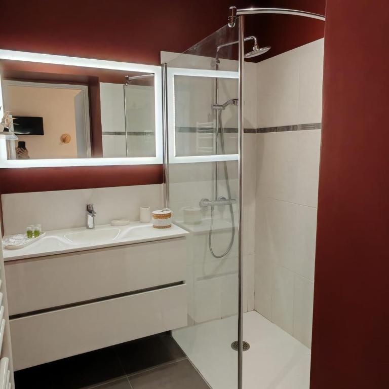 chambre d'hote de charme "Villa les Iris" proche centre ville - Chambre Double avec Salle de Bains Privative - 9