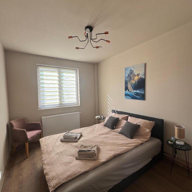 Madera Apartment - One-Bedroom Apartment - 7