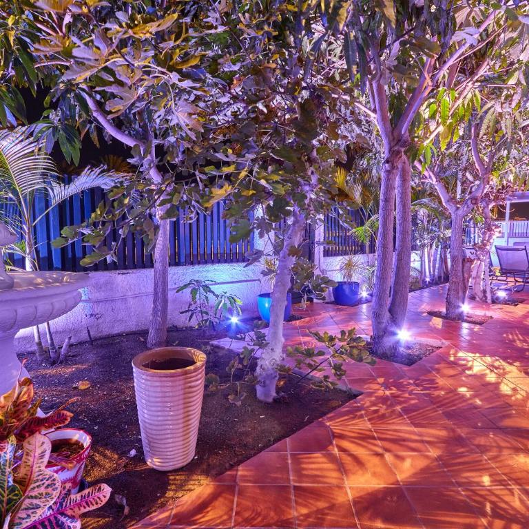 Santa Barbara Tropical - Apartamento de 2 dormitorios - 25