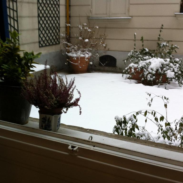 Le Studio Flore - Appartement - 13