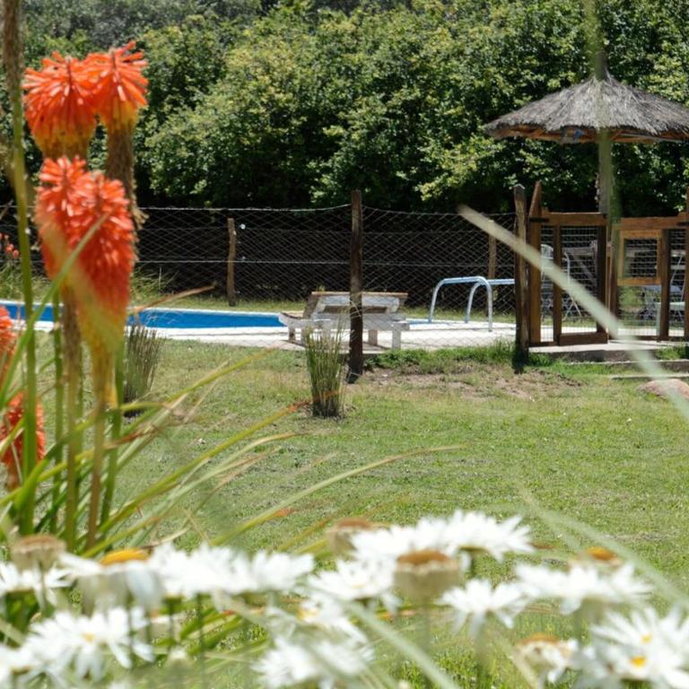 Casa de Campo - La Filomena - Casa de 3 dormitorios - 40
