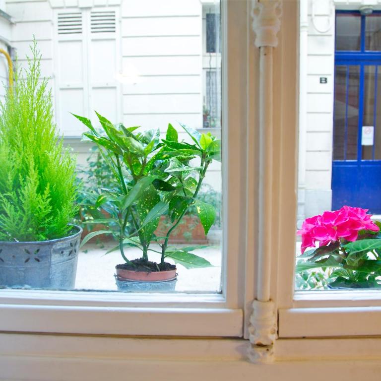 Le Studio Flore - Appartement - 22